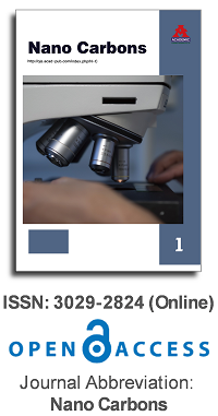 Nano Carbons